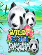 สูตร บา ค่า ร่า 5g: เคล็ดลับการเล่นสล็อตออนไลน์